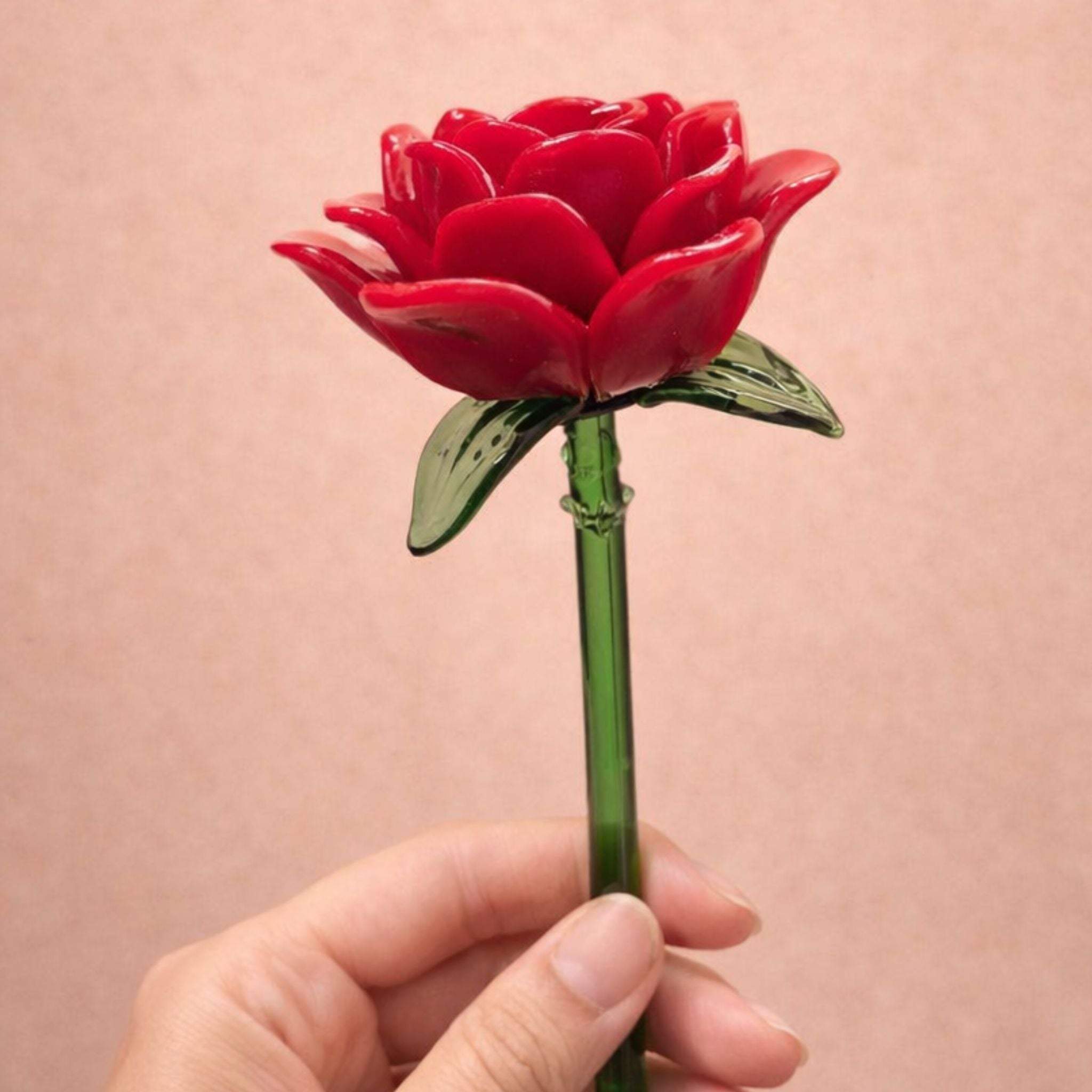 Rose Red | Eternal Bloom - Luxury Edition