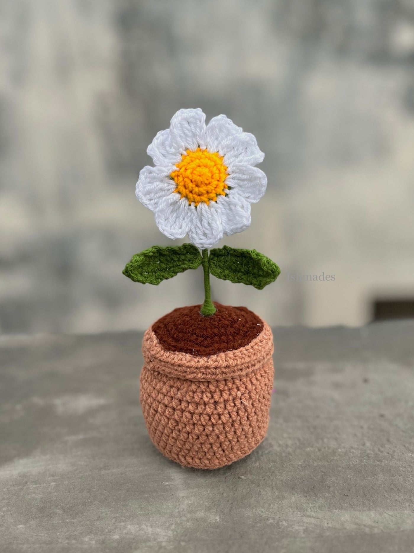 Crochet daisy pot