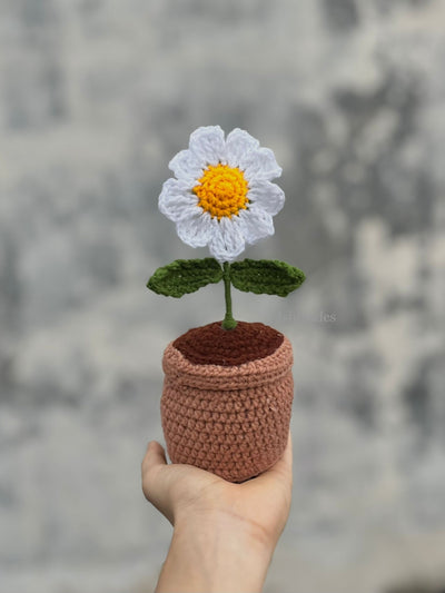 Crochet daisy pot