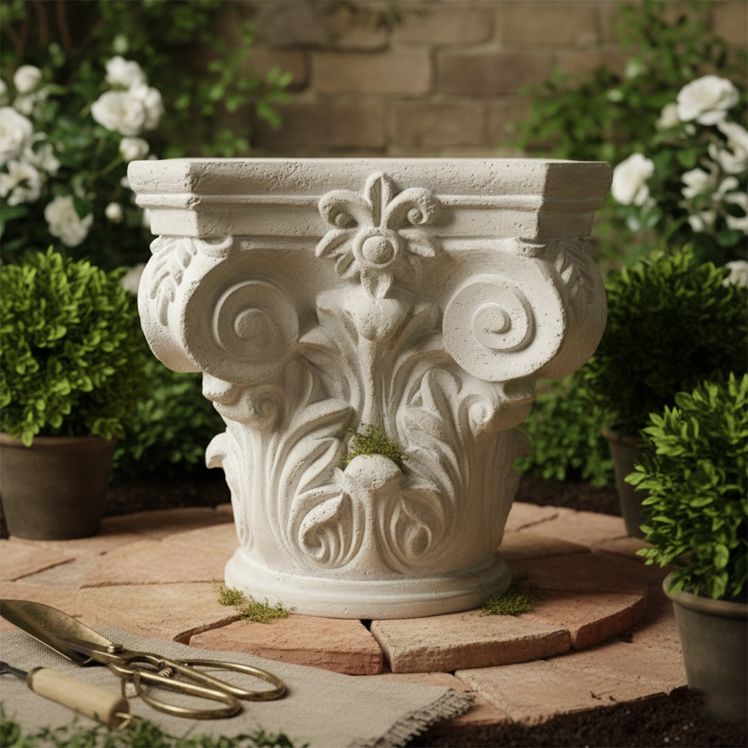 Royal Pedestal