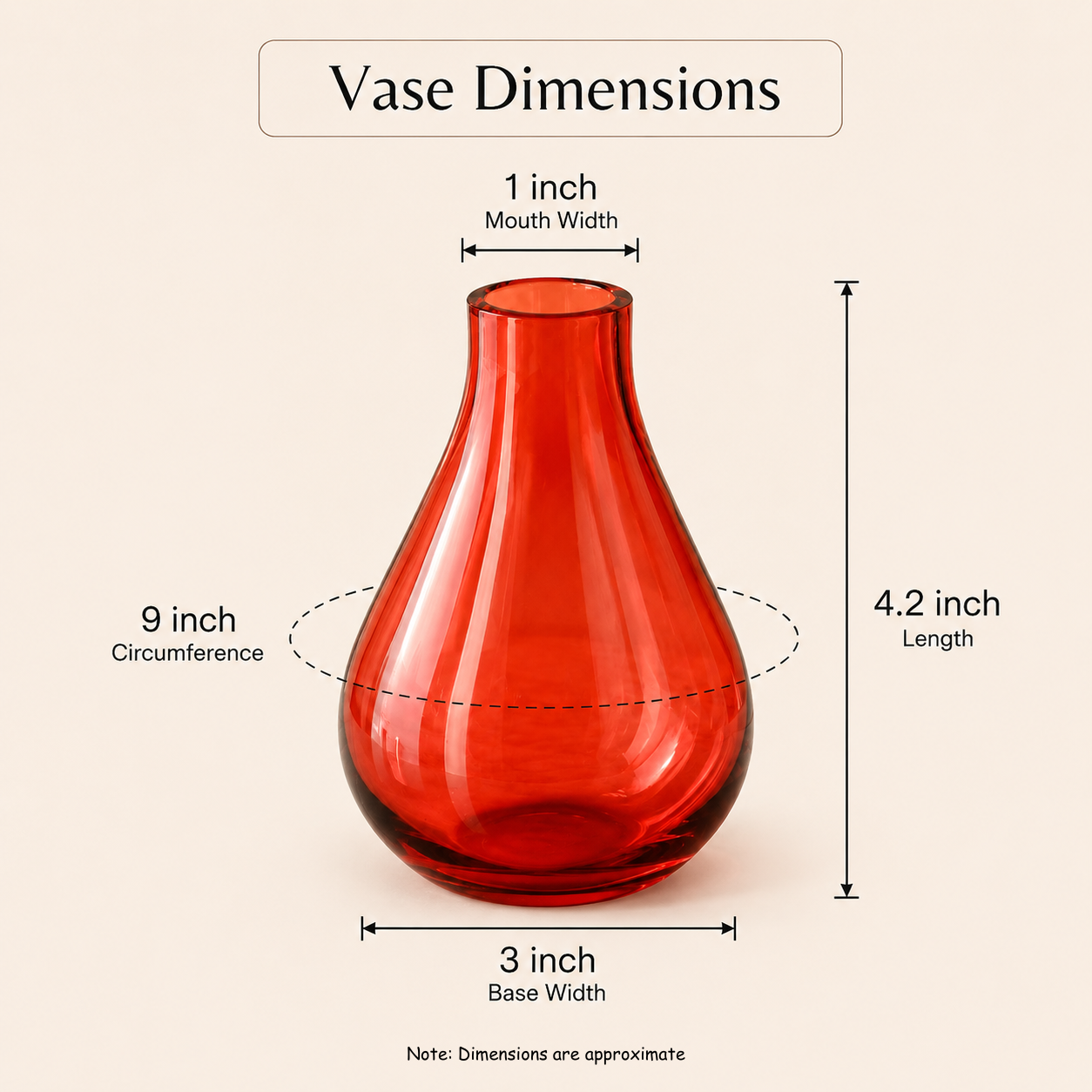 Vase Dimension