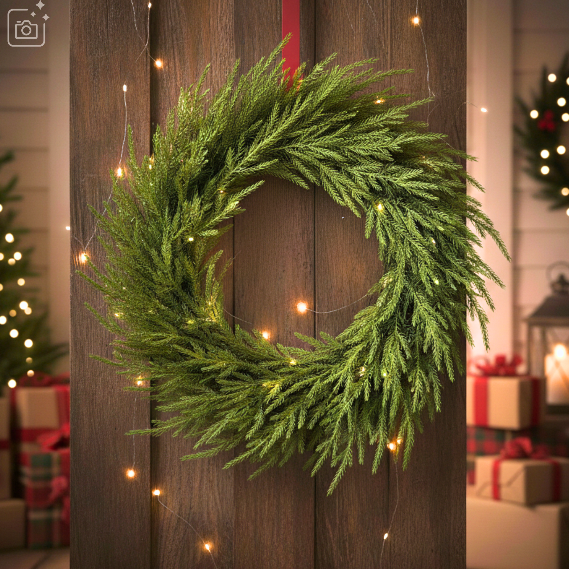 Christmas Norfolk Pine Wreath (medium)