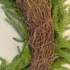 Christmas Norfolk Pine Wreath (medium)