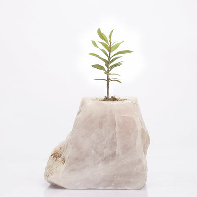 Semi Precious Planter - Rose Quartz