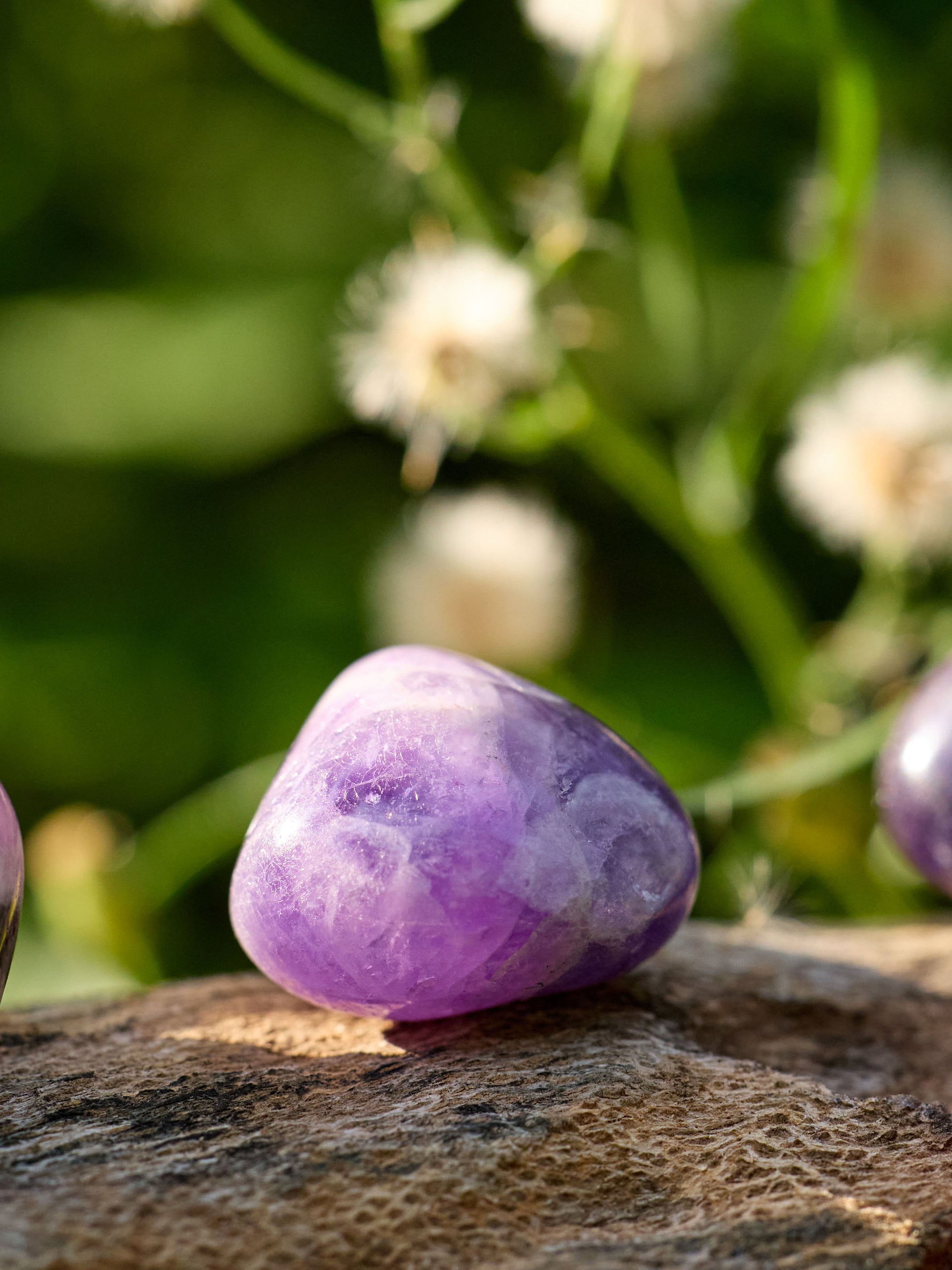 Semi-precious Gemstone - Amethyst Pebbles