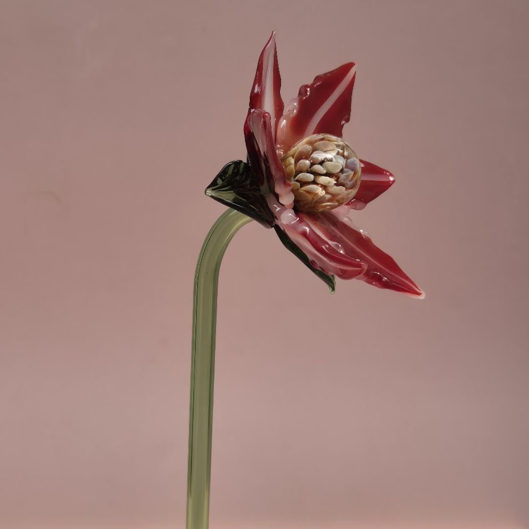 Crimson Magnolia