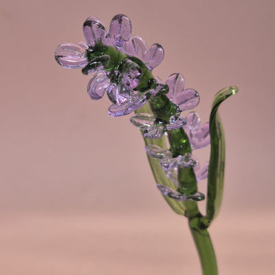 Lilac Sprig