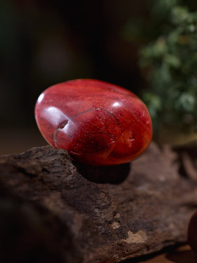 Semi-precious Gemstone - Red Jasper Pebbles
