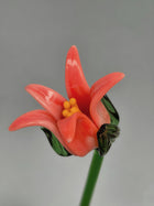 Tinsel Lily Glass Flower Stem - Coral