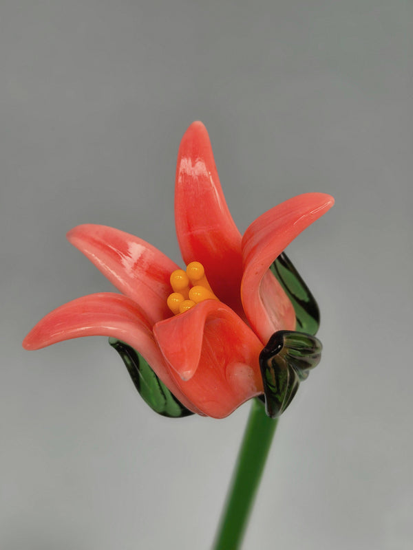 Tinsel Lily Glass Flower Stem - Coral