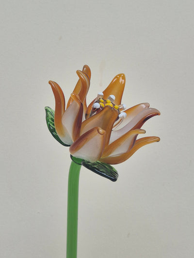 Ember Clematis- Hand-Blown Glass Flower