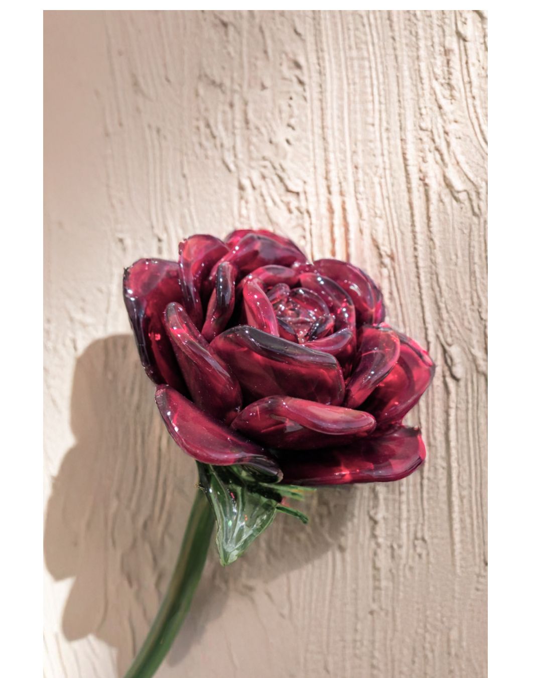 Crimson Crown Rose- Luxury Edition