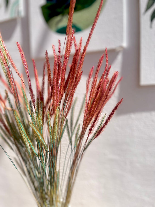 Real Dried Mountain Grass Sticks