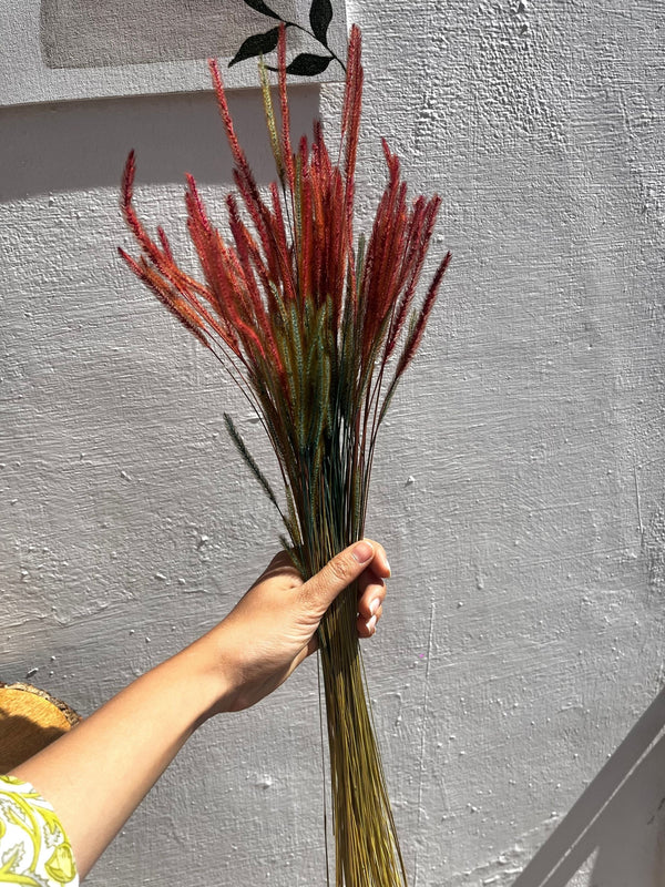 Real Dried Mountain Grass Sticks