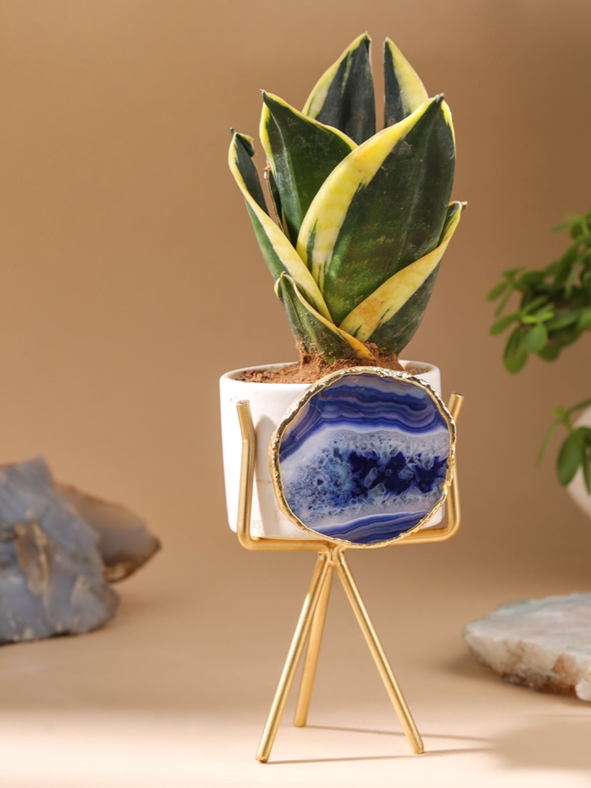 Agate Planter Blue