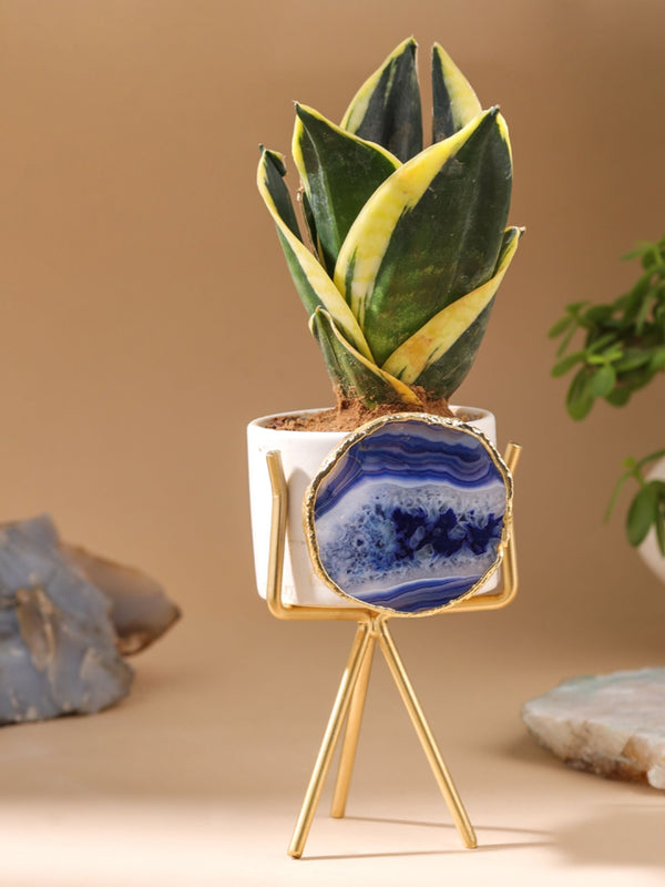 Agate Planter Blue
