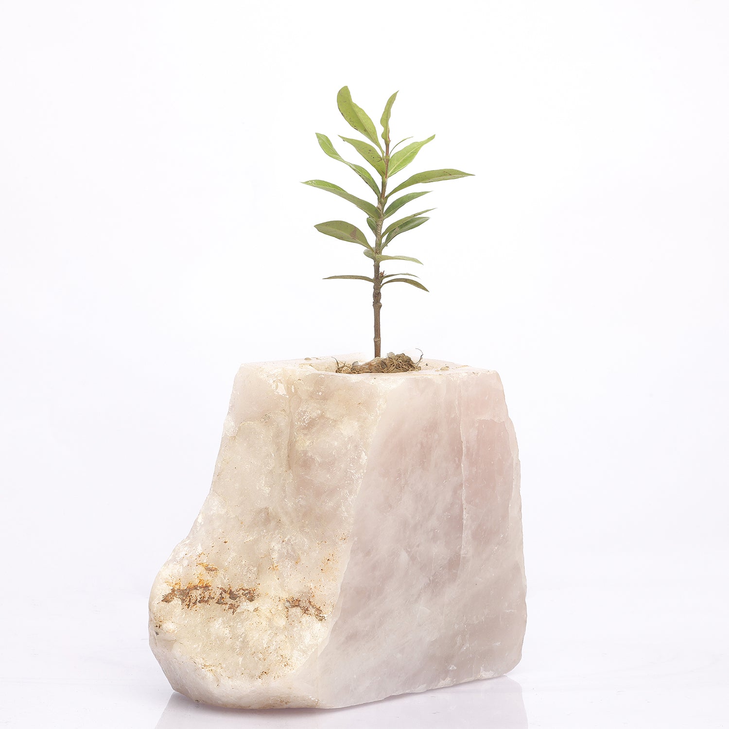 Semi Precious Planter - Rose Quartz