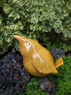 Little Birds - Mustard Yellow