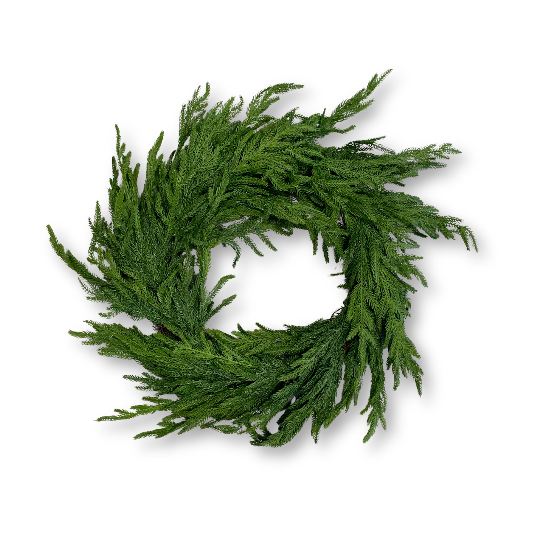 Christmas Norfolk Pine Wreath (Large)