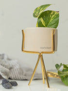 Agate Planter Natural