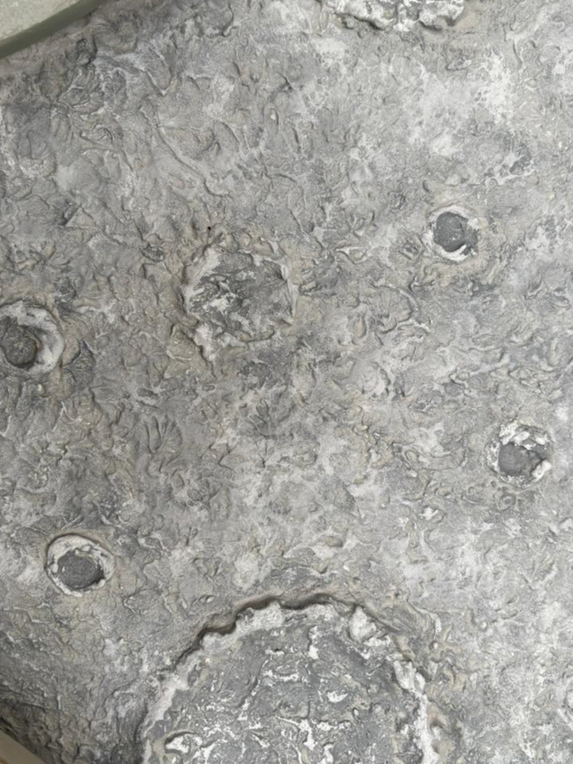 Selene Wall Art Luxury Home Decor for Modern Interiors