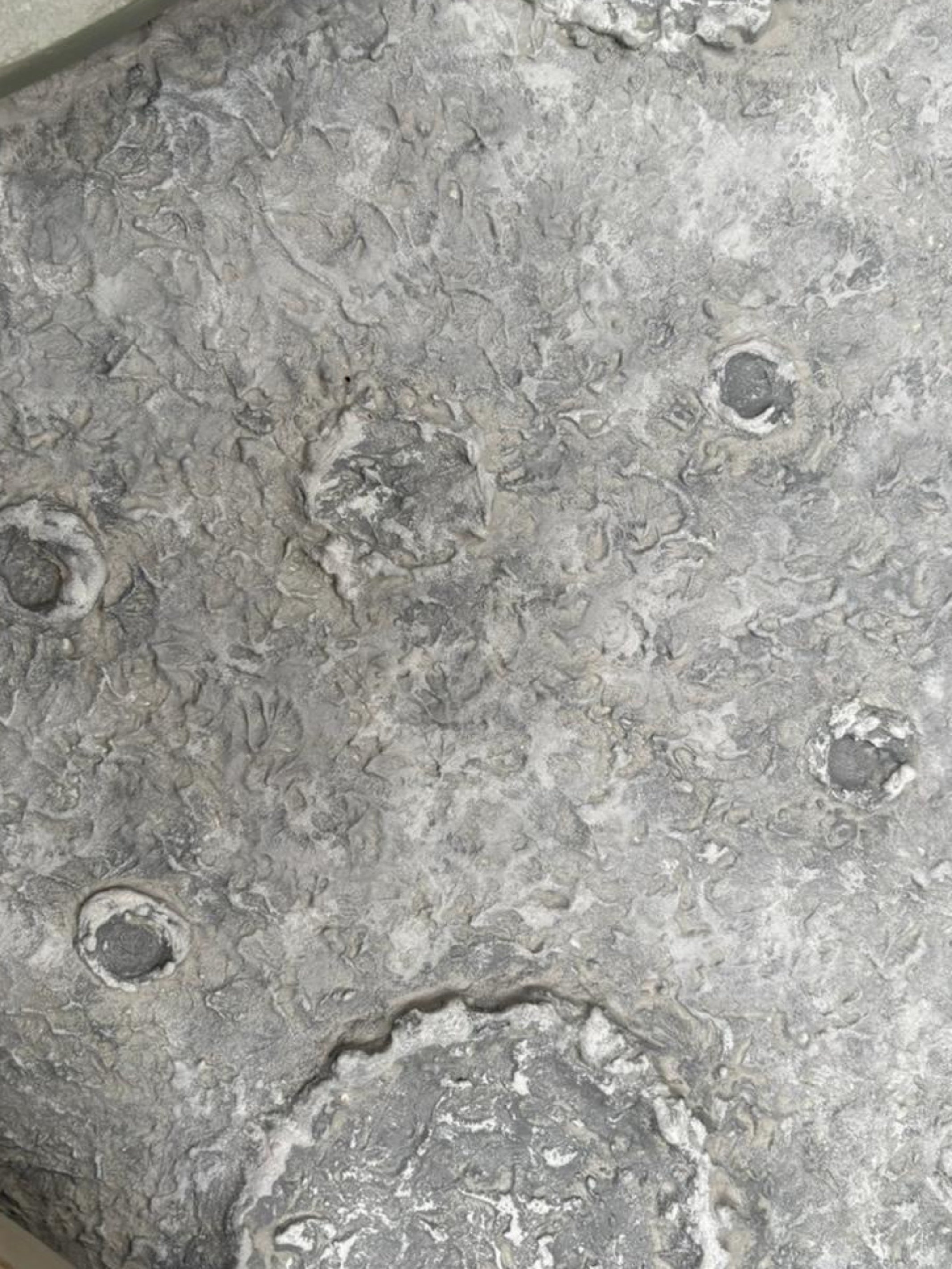 Selene Wall Art Luxury Home Decor for Modern Interiors