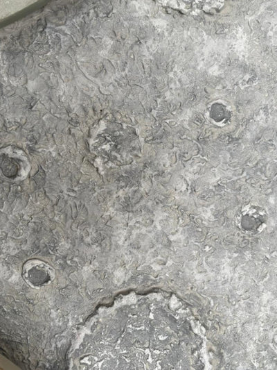 Selene Wall Art Luxury Home Decor for Modern Interiors