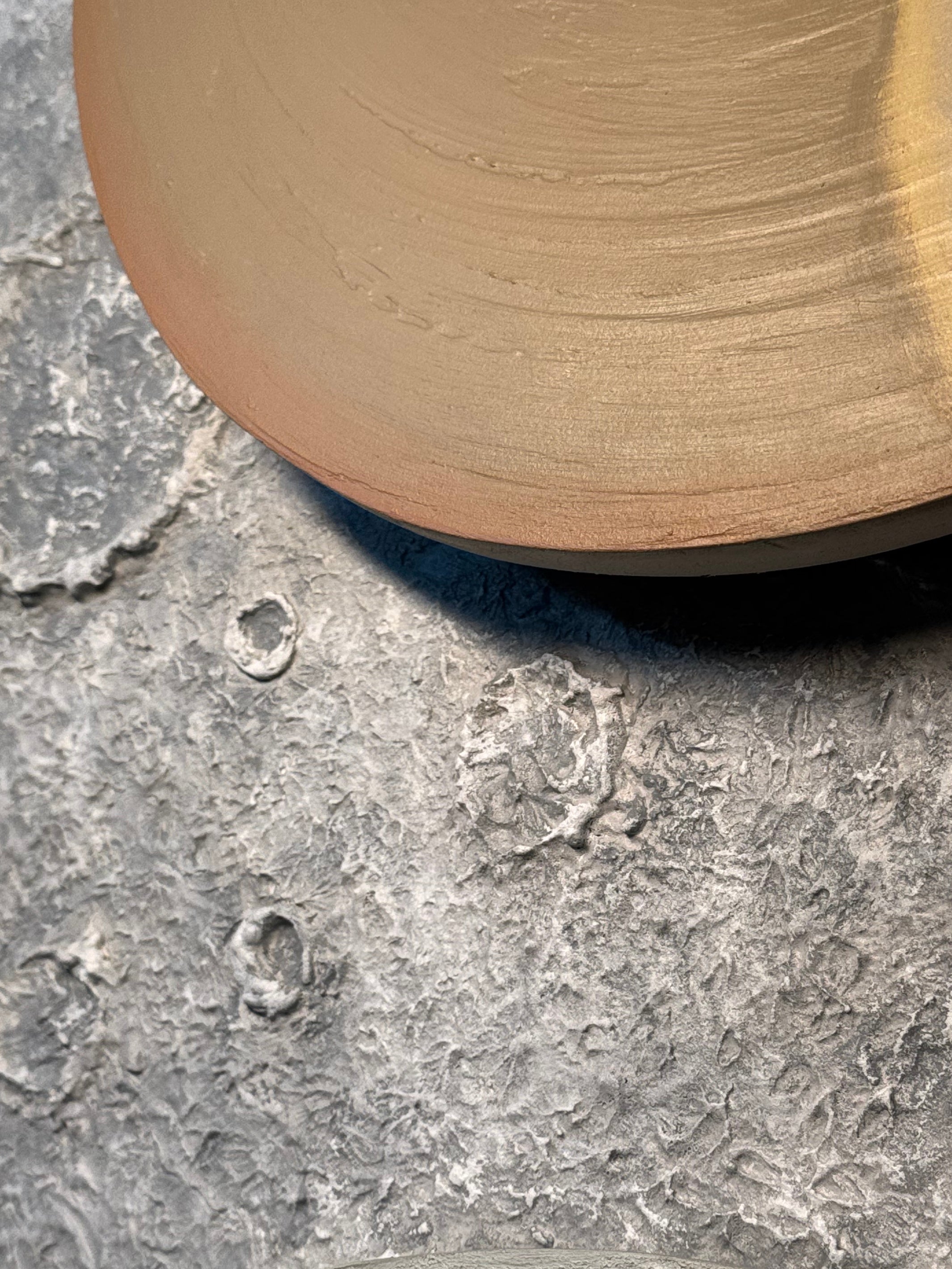 Celestial Bodies Luxury Home Decor for Modern Interiors