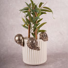 Slow & Steady Charmers - Set of 3 (Gold)