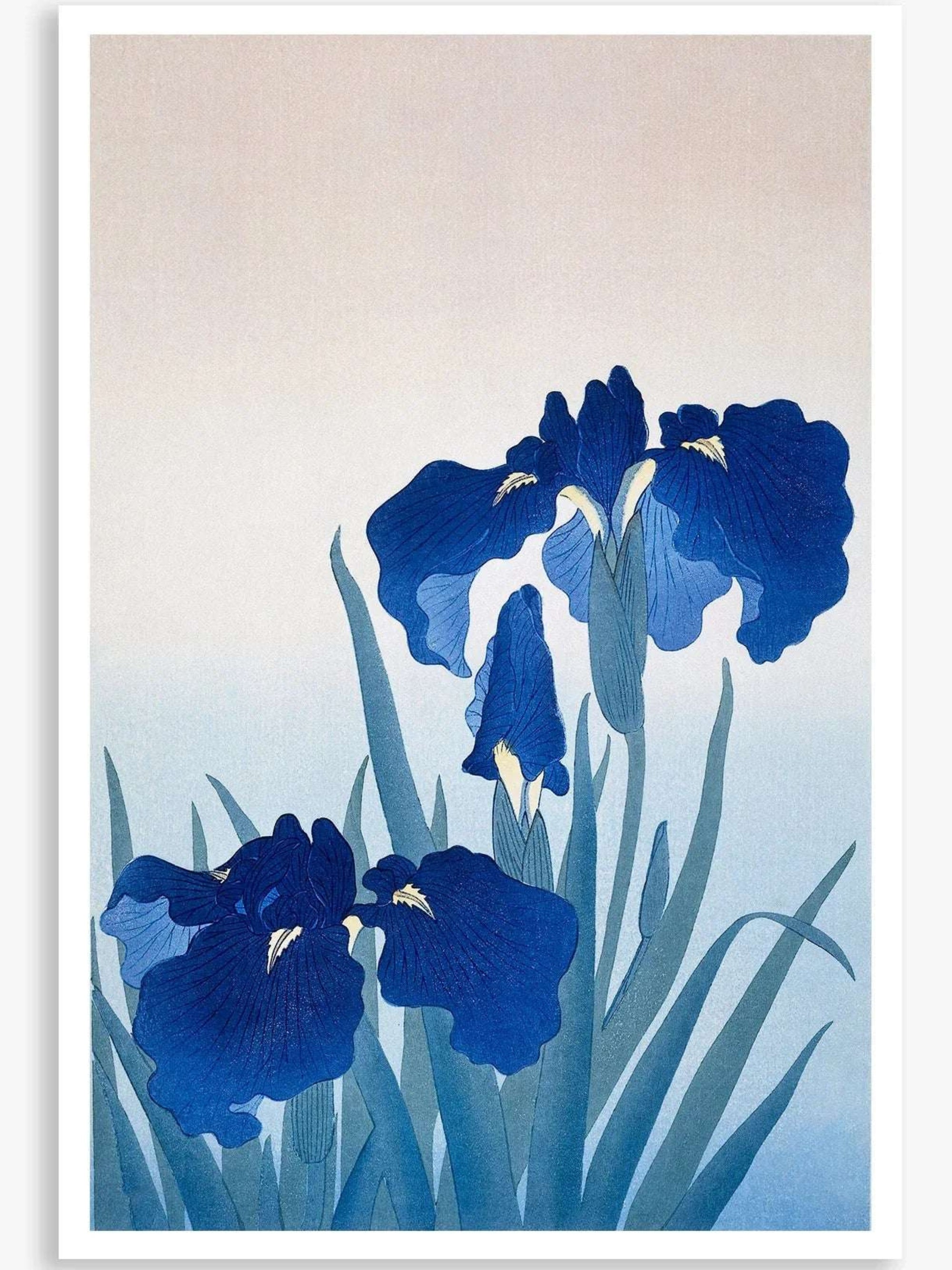 Iris flowers (1925 - 1936) Botanical Digital Art