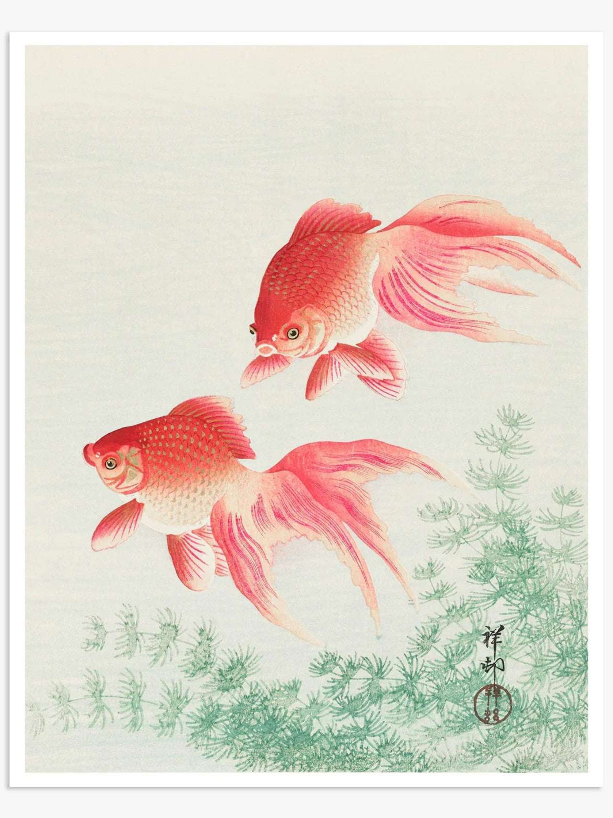 Two veil goldfish (1926) Vintage Digital Art Print
