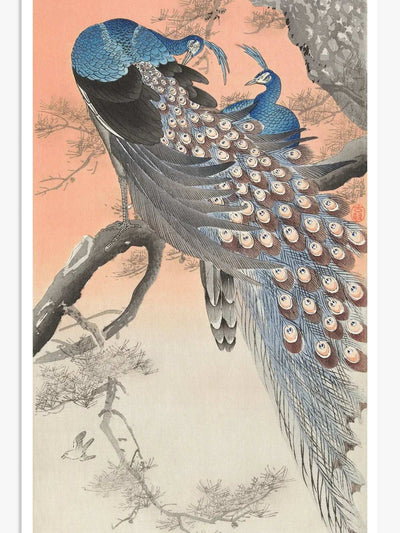 Two peacocks on tree branch (1900 - 1930) Digital Art Print