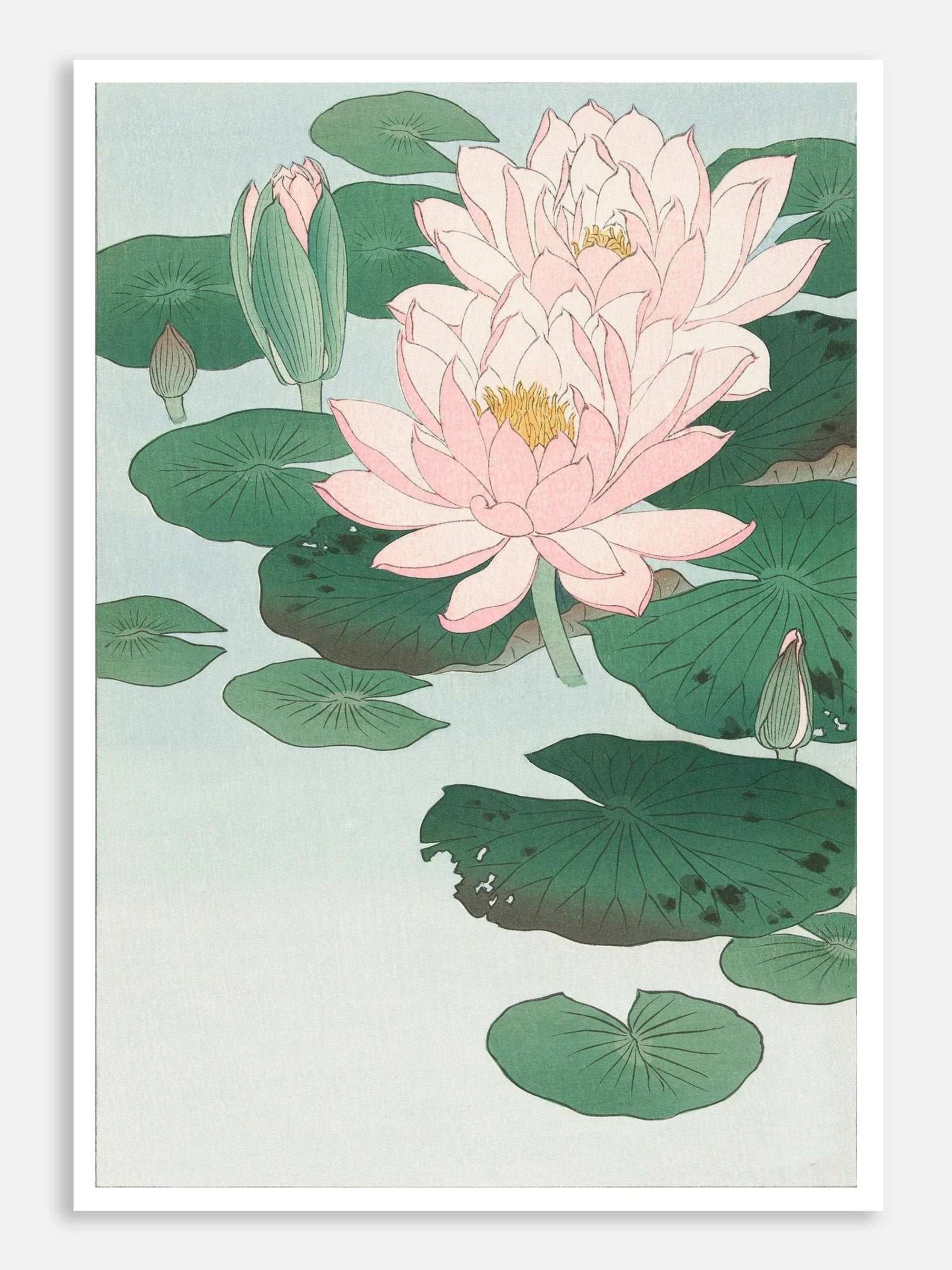 Water Lily (1920 - 1930) Digital Art Print