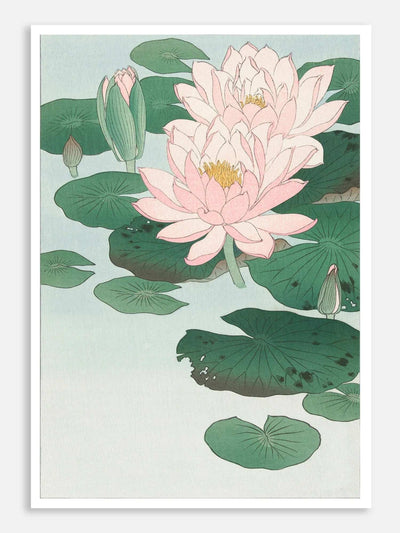Water Lily (1920 - 1930) Digital Art Print