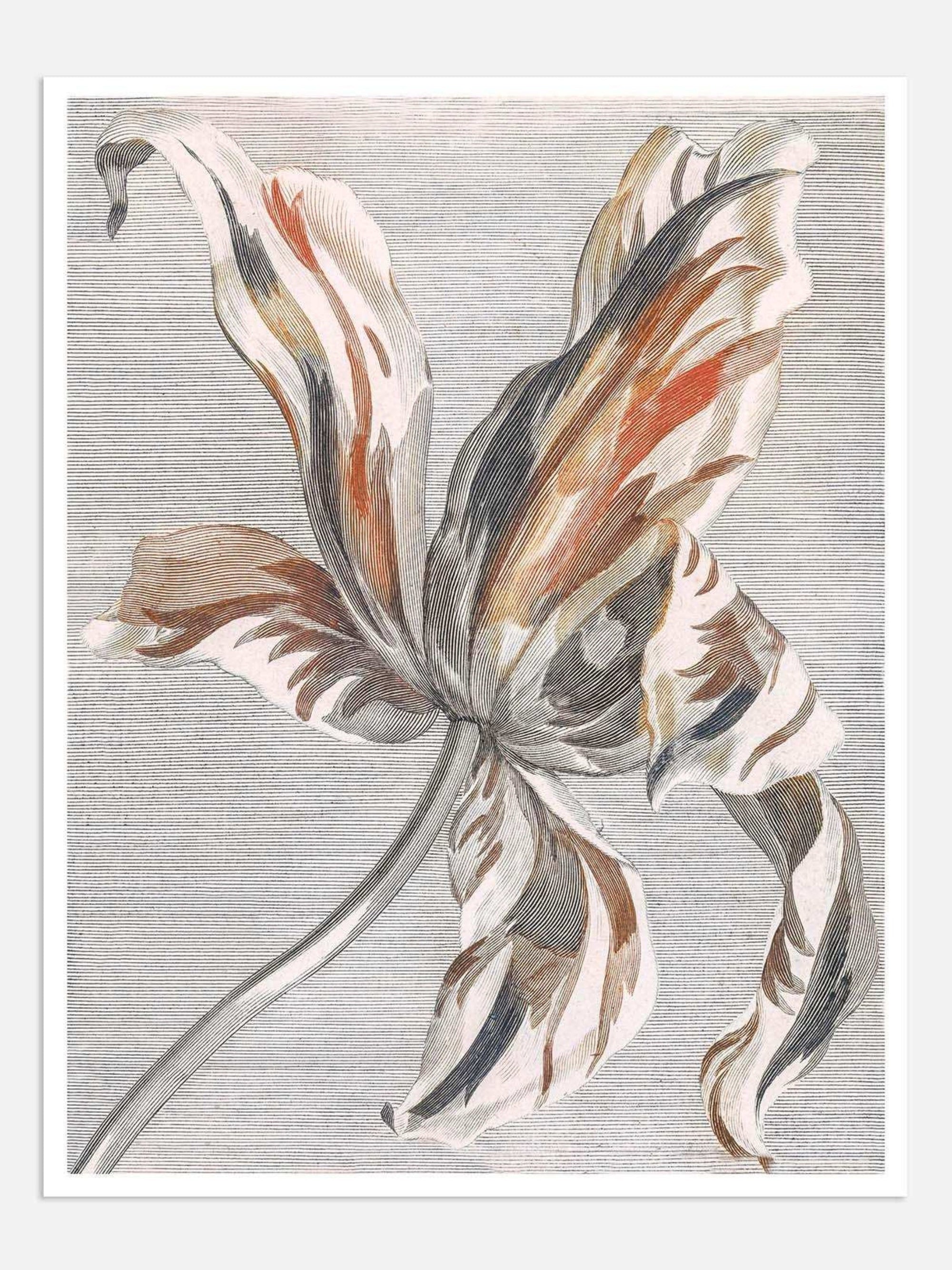 Tulip Digital Wall Art