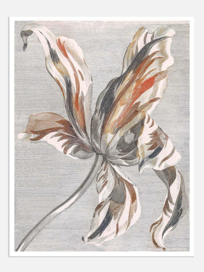 Tulip Digital Wall Art