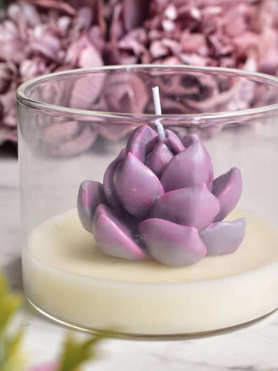 Lilac Echeveria Bliss Candle