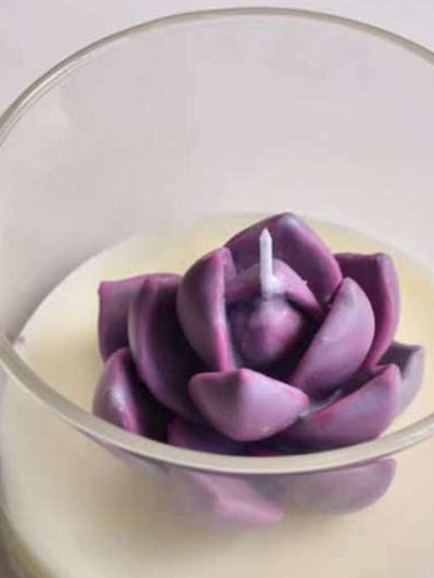 Lilac Echeveria Bliss Candle