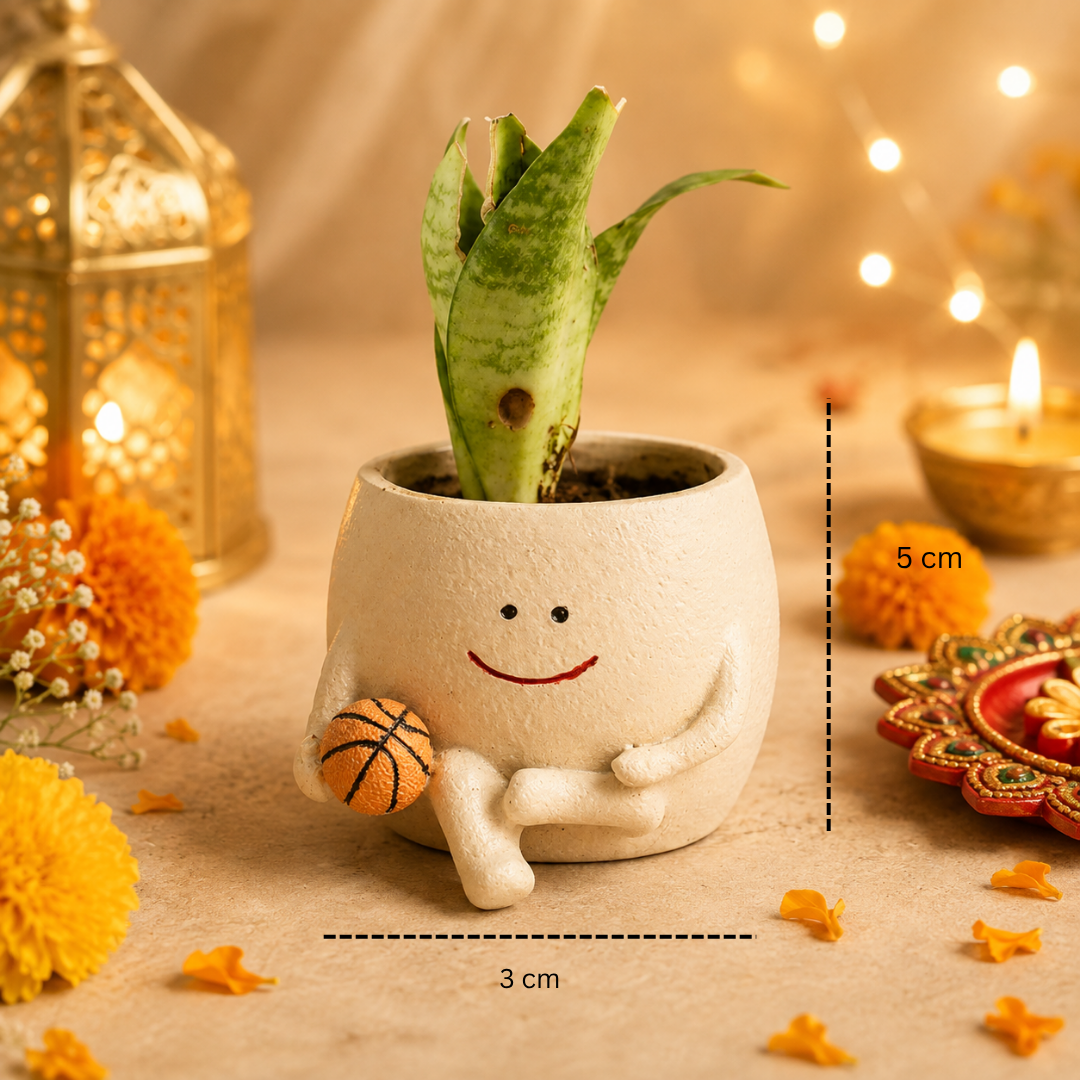 Festive Bloom Basket Planter Diwali Gift Set - https://artecasa.in/