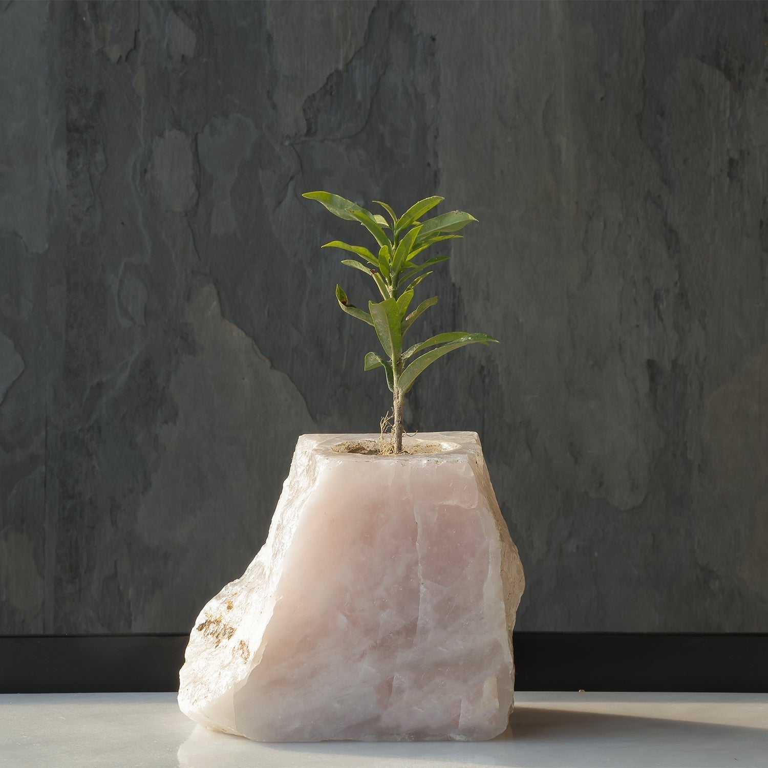 Semi Precious Planter - Rose Quartz