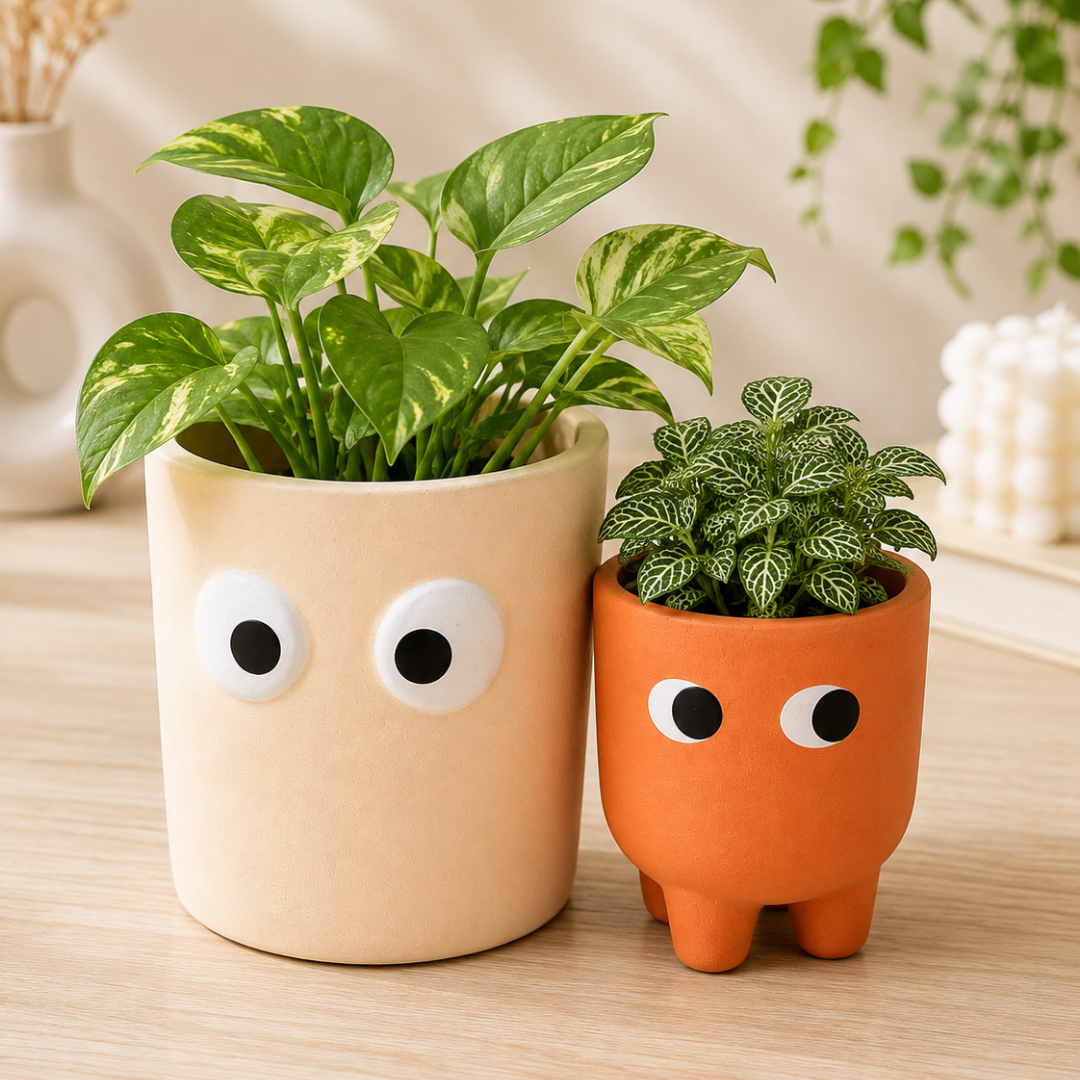 Petite Form Decorative Face Planter Set of 2 – Orange & White - https://artecasa.in/