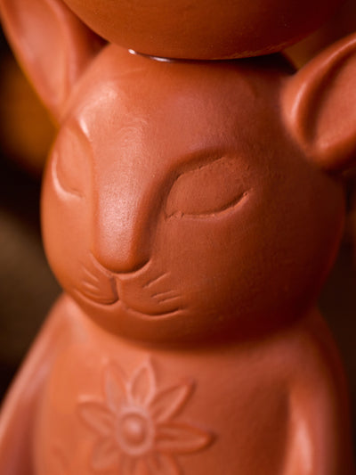 Rabbit Diya