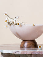 Dried Flower - Ammobium