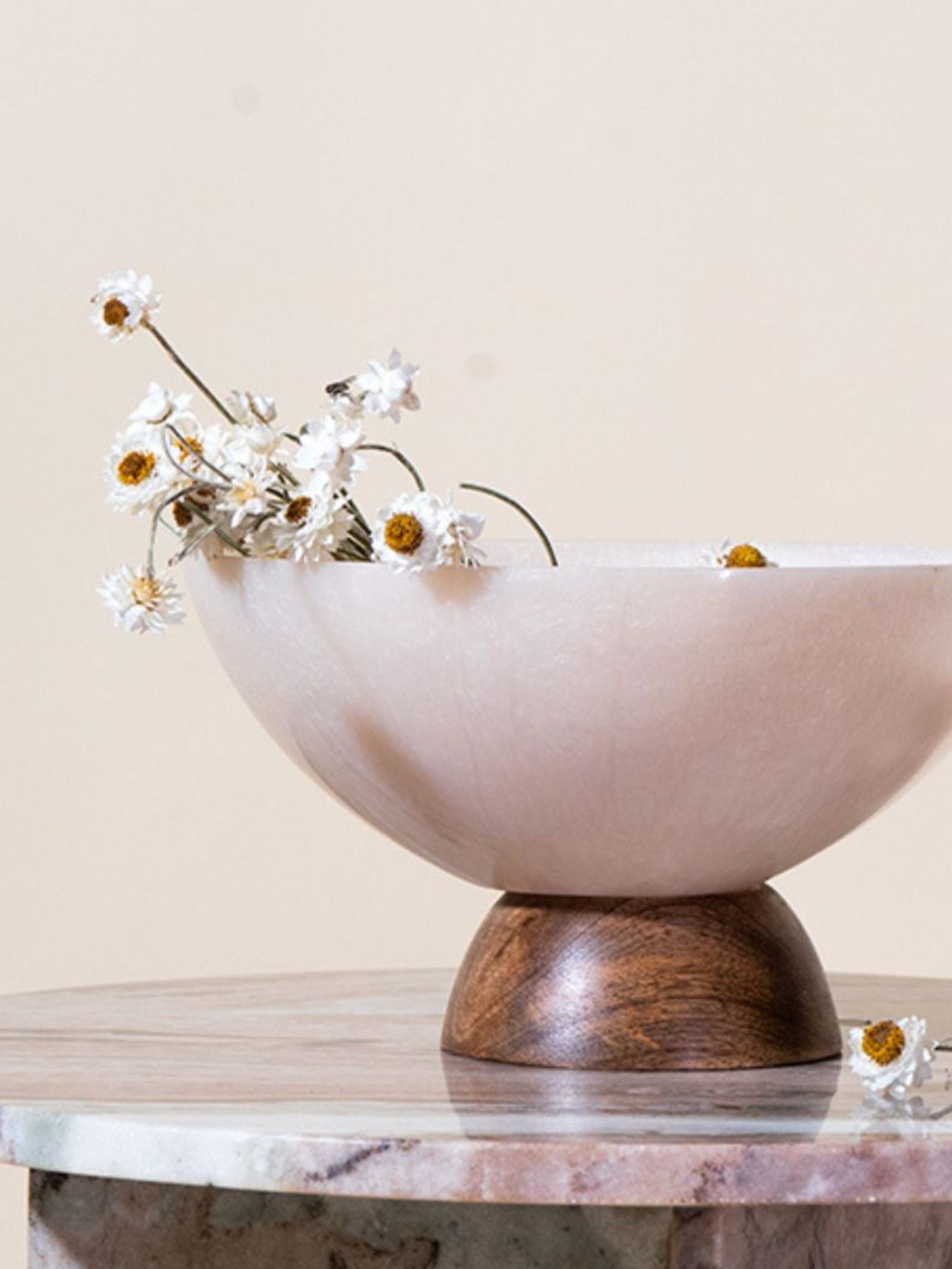Dried Flower - Ammobium