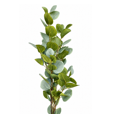 Evergreen Eucalyptus Artificial Foliage Stem | Diwali Decor - https://artecasa.in/