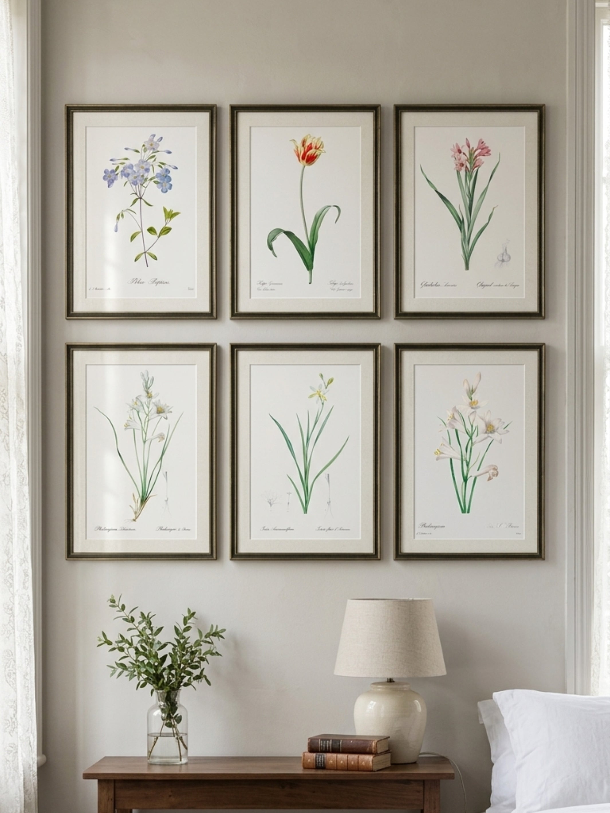 Classic Botanicals Art Prints (Set of 6) - Product Image 