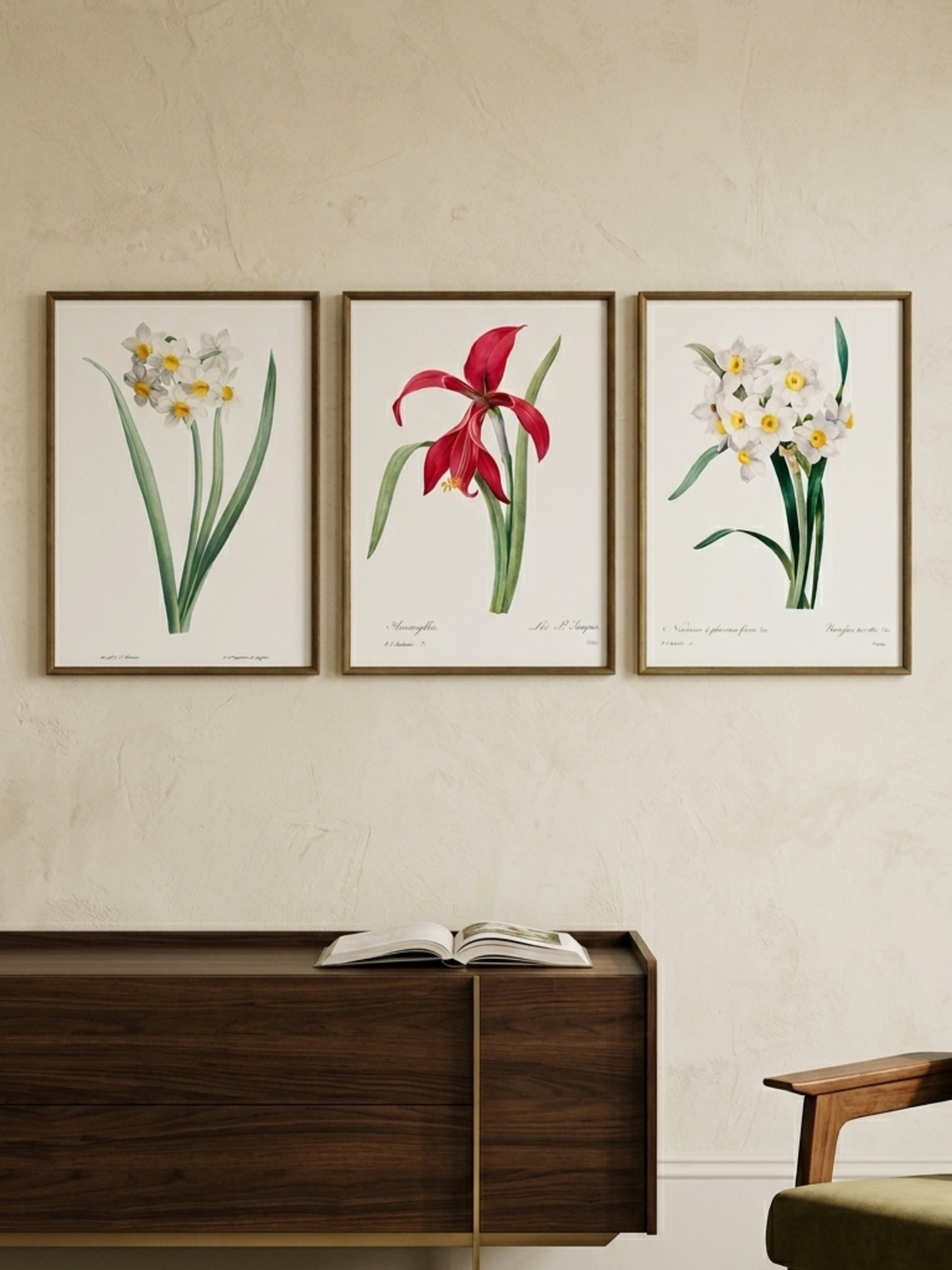 Crimson & Ivory Botanicals Art Prints (Set of 3)