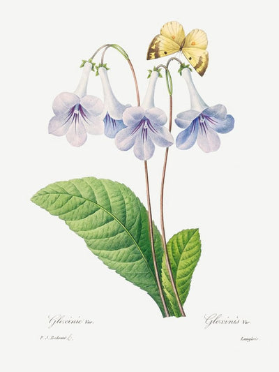 Radiant Botanicals Prints Modern Floral Art (Set of 2)