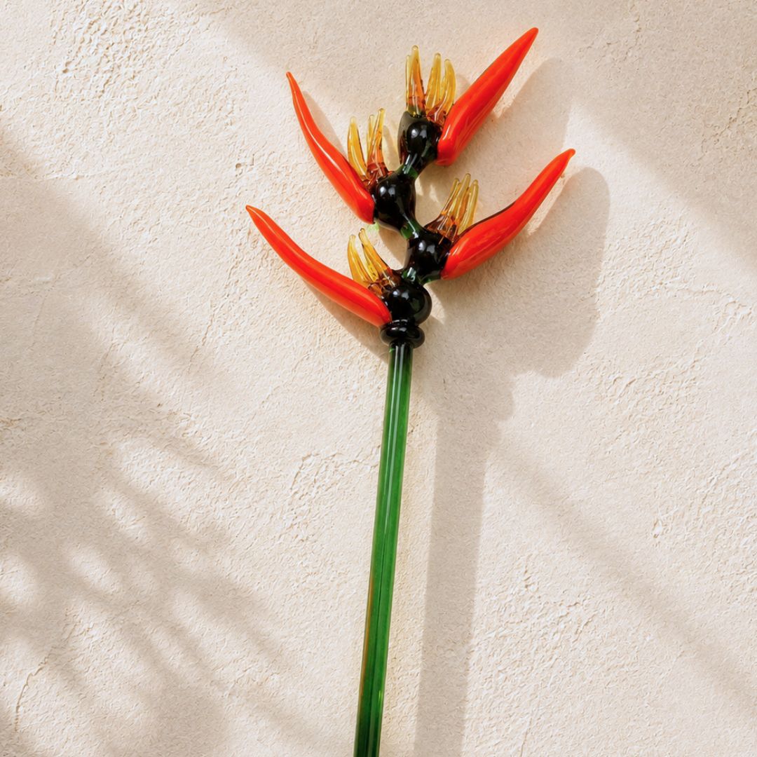 Heliconia – Nectar Vessel Edition | Bouquet Gift set of Stem + Vase