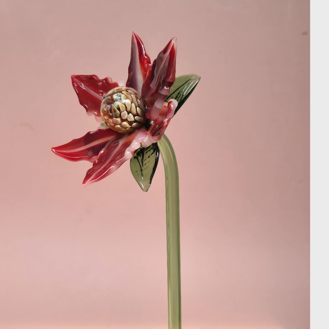 Crimson Magnolia